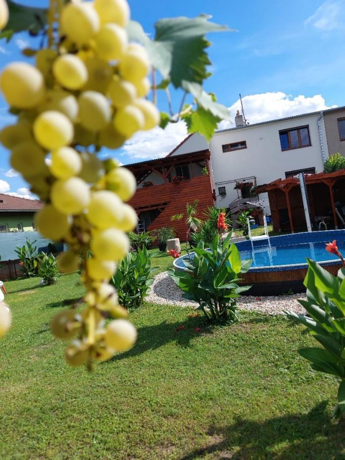 Penzion U Jezu - Ubytovani Pasohlavky Bagian luar foto